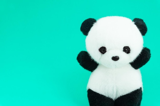 Panda doll black and white black rim of eyespanda toy for children on green background