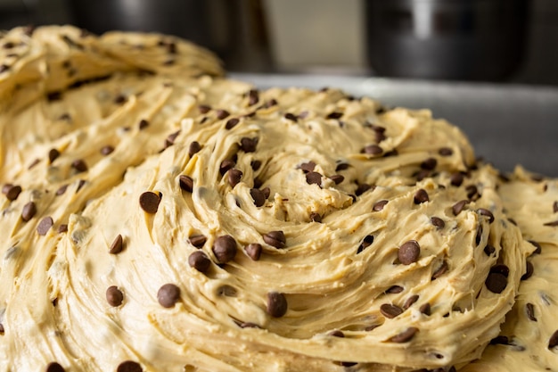 Panettone. produzione industriale di panettoni natalizi