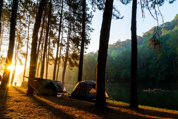 Pang oung lake and pine forest with sunrise in Mae Hong Son , Thailand