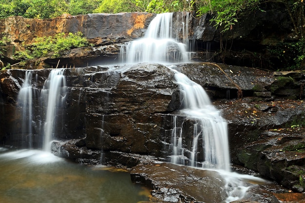 Pang Sida National park, east of Thailand