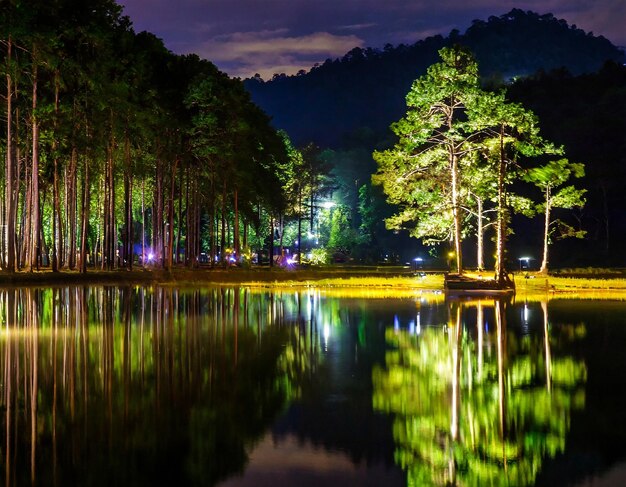 pang ung reflection of pine tree in a lake meahongson Thai