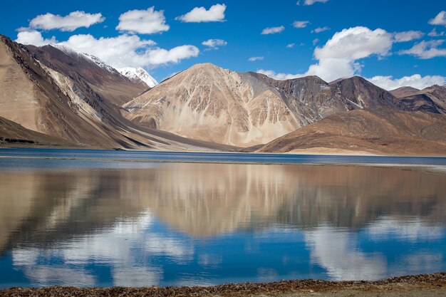 Pangongmeer Ladakh India