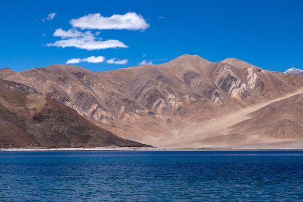 Pangongmeer Ladakh India