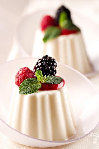 Panna Cotta with Fresh Berries High quality photo