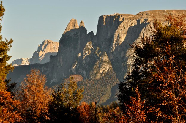 Panoraambeeld van bomen en rotsen tegen de lucht - Italiaanse dolomieten