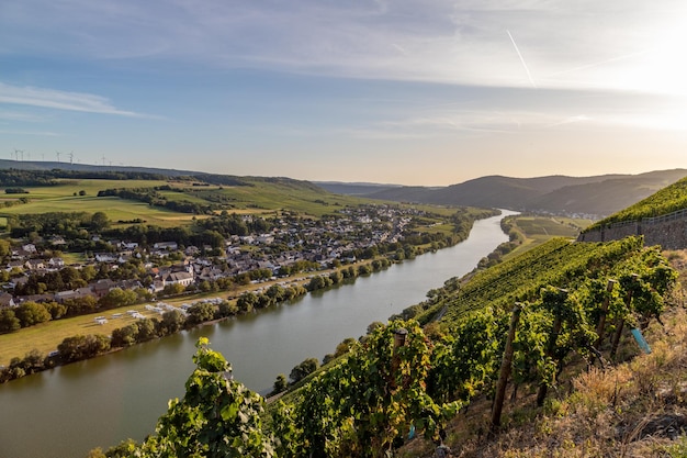 Foto panoraambeeld van de moselvallei met het wijndorp brauneberg op de achtergrond