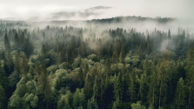 Panoraambeeld van het bos met ochtendnevel luchtruimtes Generatieve AI