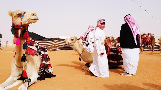 Foto panoraambeeld van mensen die in de woestijn lopen