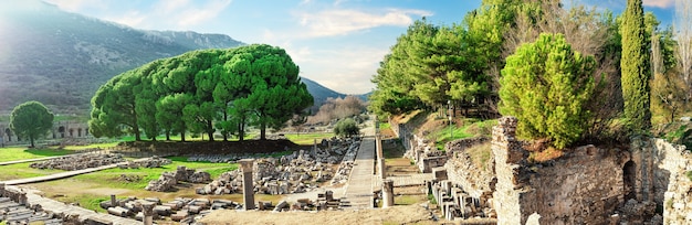 Panorama of the ancient city of Ephesus in Turkey during the day