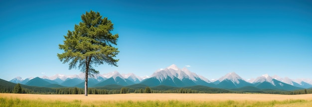 夏の風景の山の木のパノラマ バナー写真 ジェネレーティブ AI