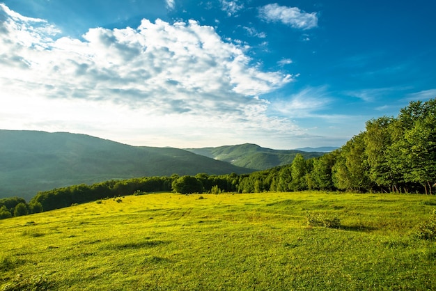 美しい田園地帯のパノラマ木々や山々と青い空を背景に美しい夏の風景芝生のフィールド