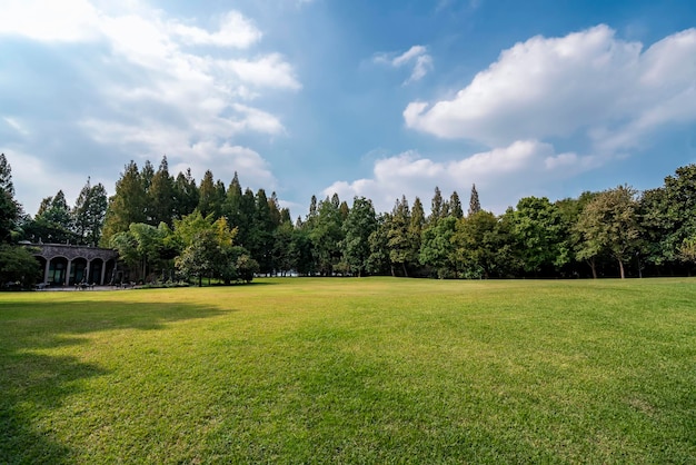 Panorama of big city park