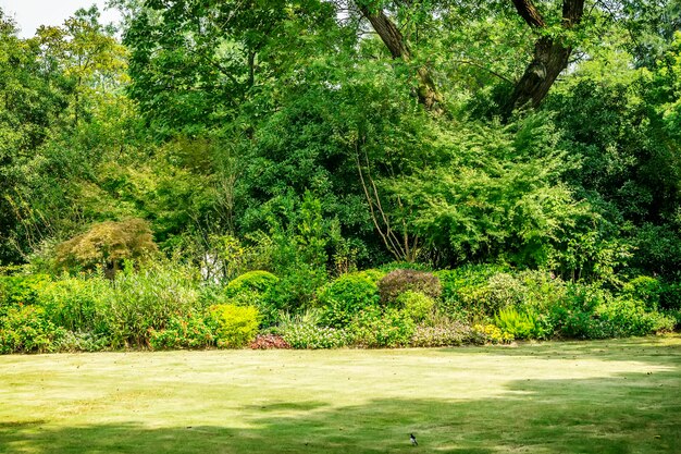 Panorama of big city park