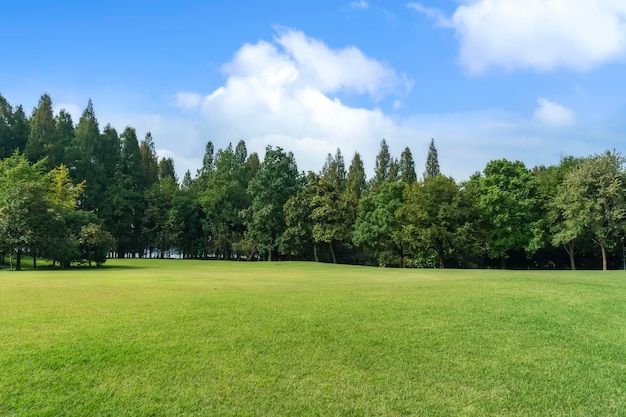 Panorama of big city park