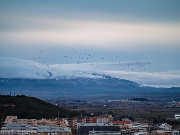 Панорама птицы города испании страны