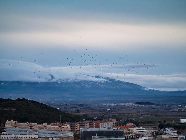 スペインの街のパノラマの鳥