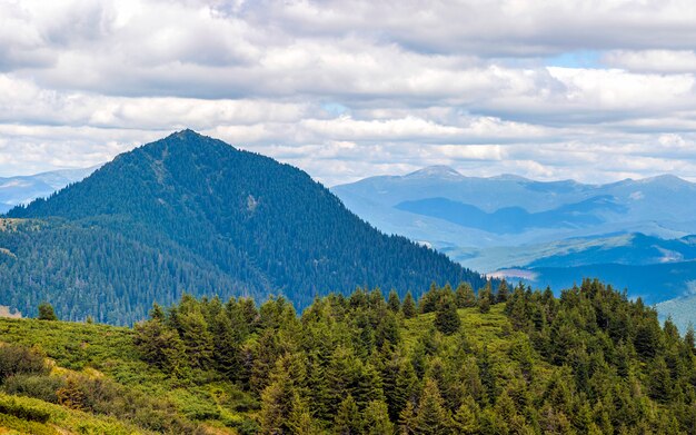 Panorama of Carpathian mountains in summer sunny day