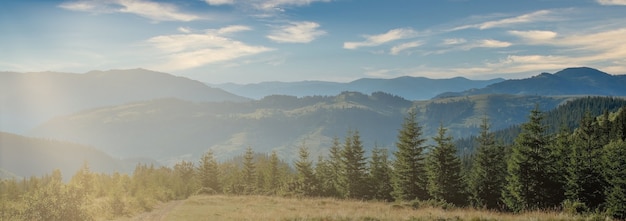 Panorama of Carpathian mountains in summer sunny day