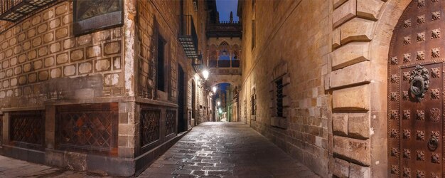 夜のバルセロナカタロニアスペインのバリゴシック地区のため息橋のある石畳の中世のCarrerdelBisbe通りのパノラマ