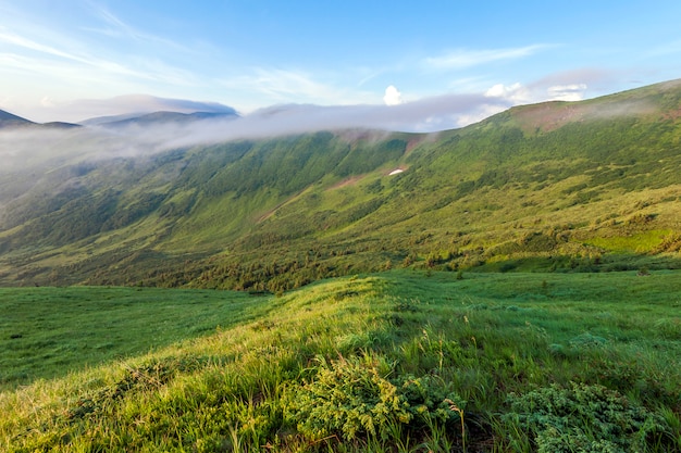 Panorama of cold foggy summer morning in the Carpathian mountains