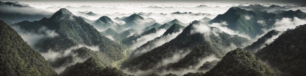 Photo panorama of coniferous forest in mist of tree tops foggy landscape in mountains fog and cloud mountain tropic valley landscape aerial view wide misty panorama generative ai