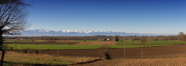 Panorama of countryside, Pyrenees mountains in background