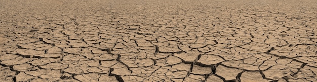 Panorama of cracked brown soil, barren wasteland surface\
natural background with deep focus