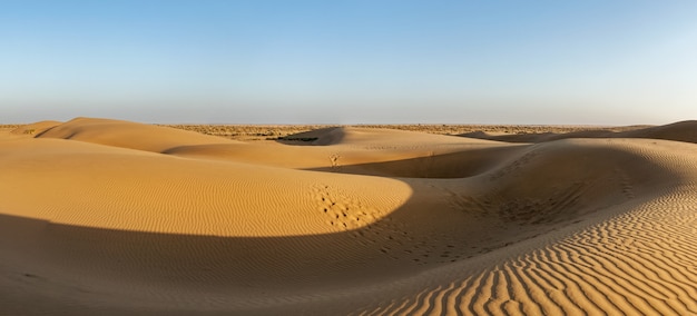 タール砂漠、ラージャスターン州、インドの砂丘のパノラマ