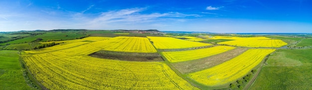 Панорама полей с растением в долине на фоне села и неба в Болгарии