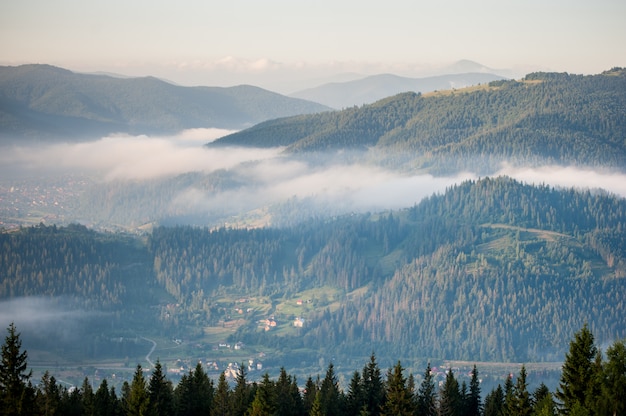 Panorama of foggy mountain range