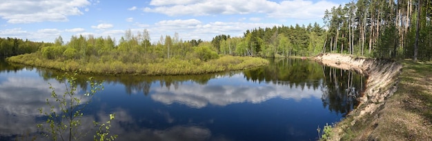 Panorama of the forest river in spring