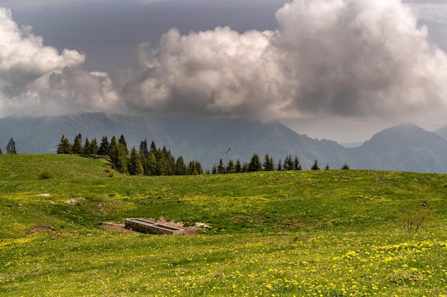 Panorama from Monte Avena with drinking trough for cows stormy sky and green meadow Belluno Italy