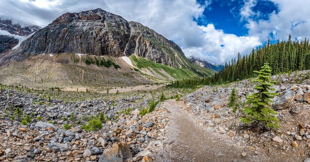 Panorama of the Glacier Trail at Mt. Edith Cavell in Jasper National Park, Alberta