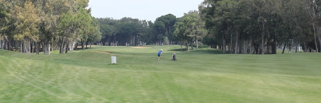 panorama green golf course with forest