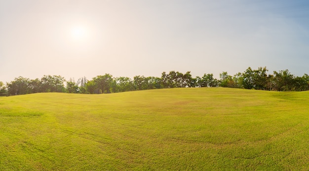 Панорама зеленой травы на поле для гольфа в вечернее время, Панорама зеленого поля ландшафта