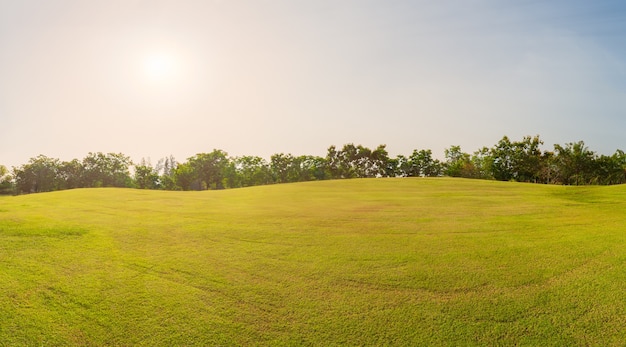 Panorama groen gras op golfveld in de avondtijd, Panorama groen veldlandschap