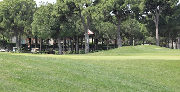 panorama groene golfbaan met bos