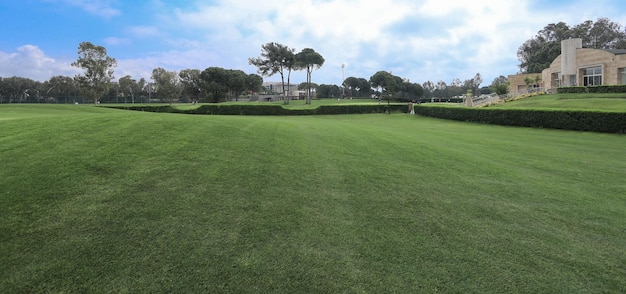 panorama groene golfbaan met bos