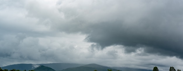 Фото Панорама тяжелые тучи шторм дождя на небе над рисовым полем в сельской местности