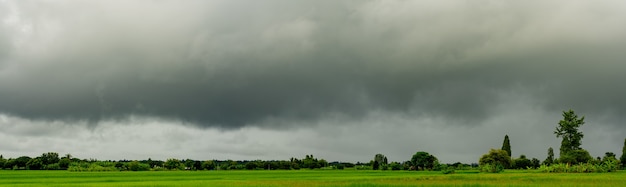 田舎の田んぼの上空に雨のパノラマの重い雲の嵐