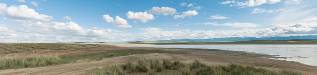 Panorama Landschap van zoutmeer in de steppe Tyva