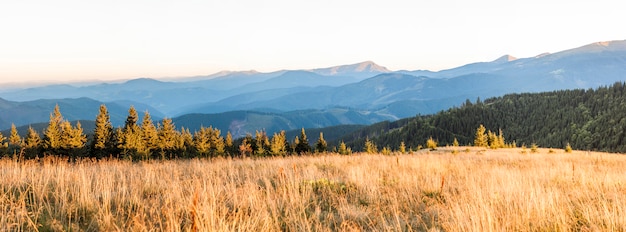 Panorama of morning sunrise in mountains and sunlit meadow