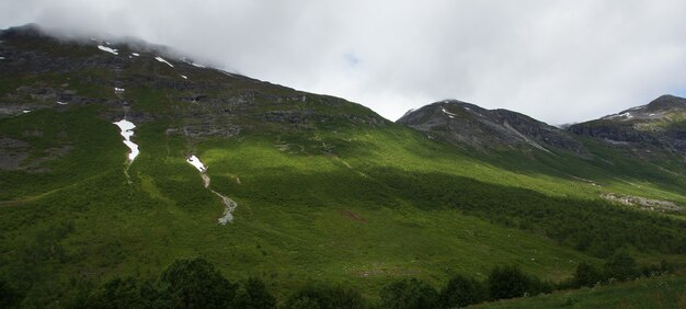 緑の苔で覆われた山のパノラマ。