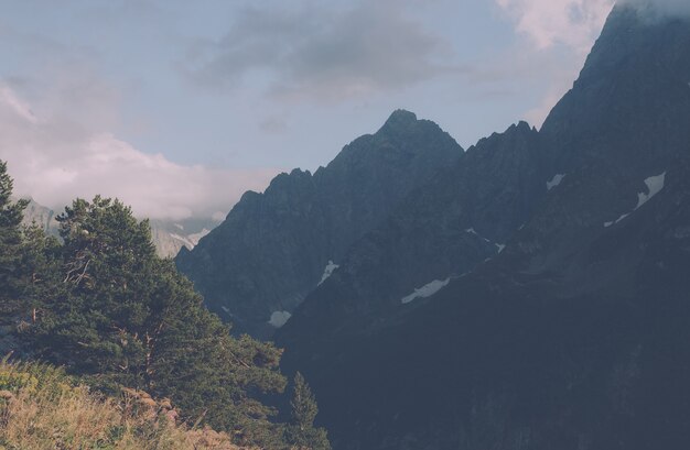 Panorama of mountains and forest scene in national park of Dombay, Caucasus, Russia. Summer landscape and sunny day