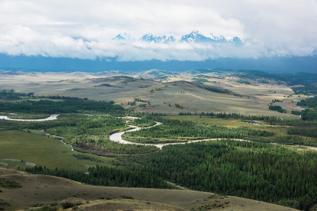 Panorama of mountains and forest