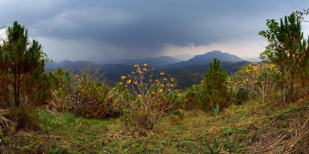 khaokhoPhetchabunThailandで雨が降る前に曇り空のパノラマの山々