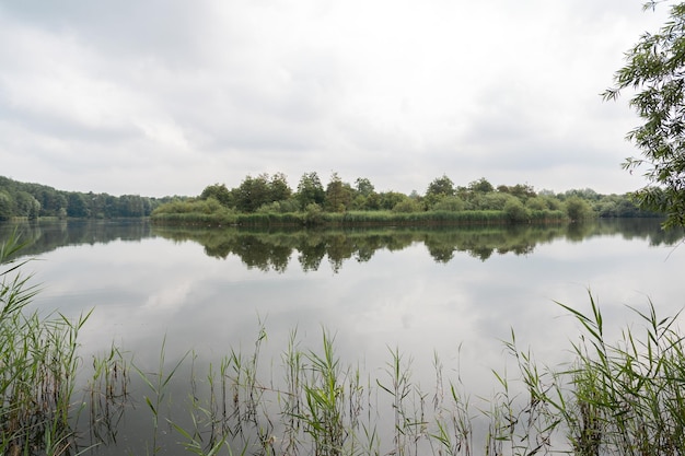 Фото Панорама красивого озера во флеволанде в нидерландах