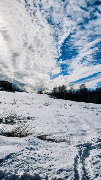 写真 美しい冬の風景のパノラマ地平線に白い雪と氷のフィールドシルス雲のドラマチックな空明るく空気のある感覚と明るいカラーパレット垂直写真