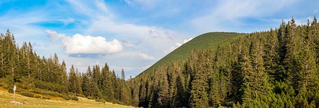 Фото Панорама карпатских гор в летний солнечный день