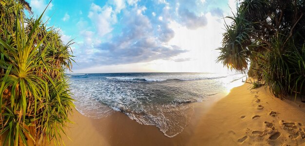 写真 日当たりの良い砂浜のパノラマ 熱帯の海のビーチ